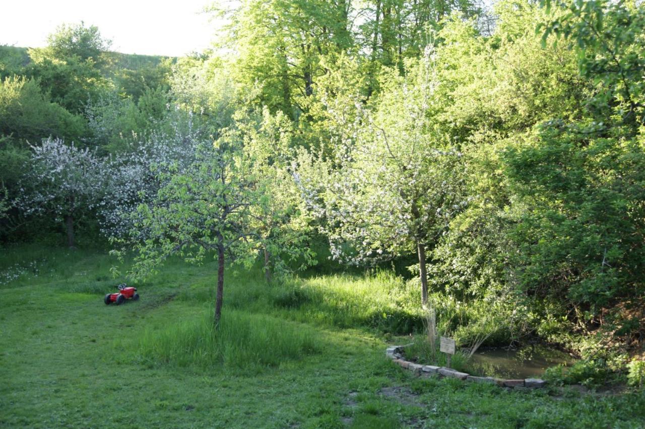 Grosse Wohnung / Haushaelfte In Peetzig Am See آنغرمونده المظهر الخارجي الصورة