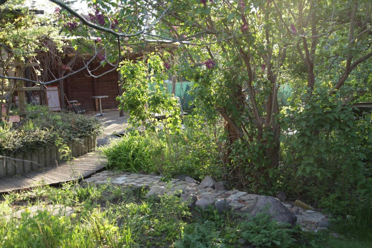 Grosse Wohnung / Haushaelfte In Peetzig Am See آنغرمونده المظهر الخارجي الصورة