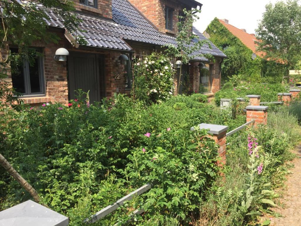 Grosse Wohnung / Haushaelfte In Peetzig Am See آنغرمونده المظهر الخارجي الصورة
