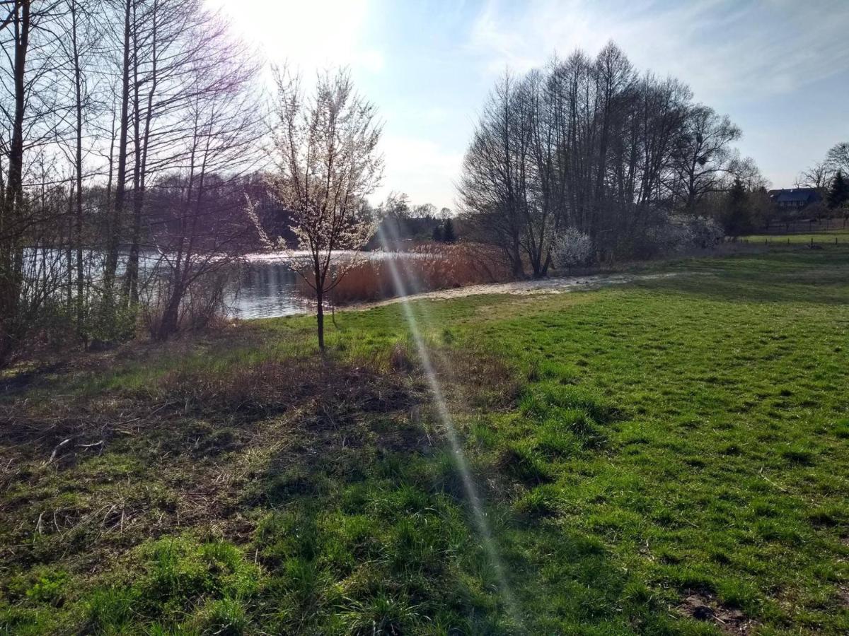 Grosse Wohnung / Haushaelfte In Peetzig Am See آنغرمونده المظهر الخارجي الصورة